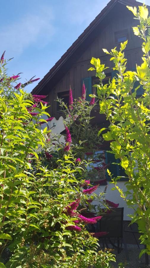 Chill&Sleep Bad Ischl Apartment ภายนอก รูปภาพ