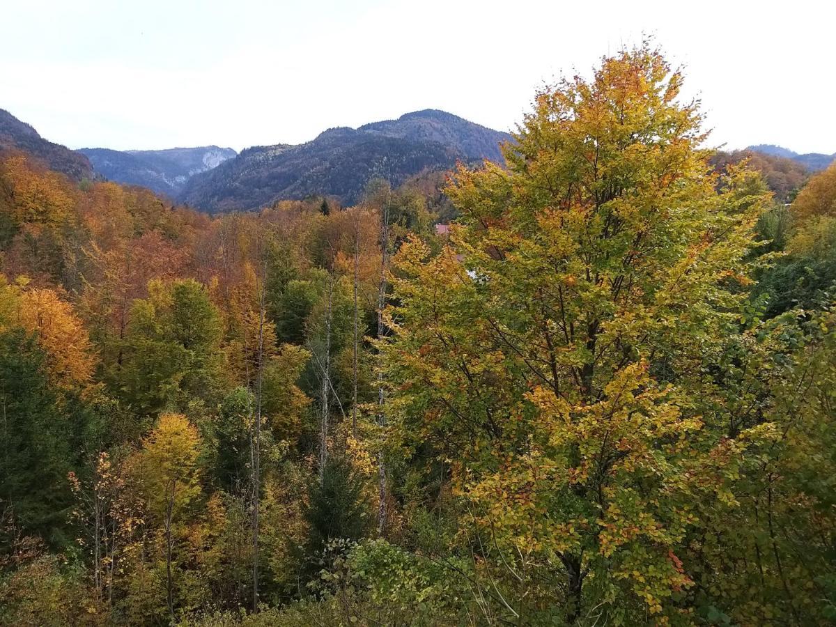 Chill&Sleep Bad Ischl Apartment ภายนอก รูปภาพ