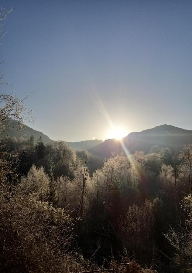 Chill&Sleep Bad Ischl Apartment ภายนอก รูปภาพ