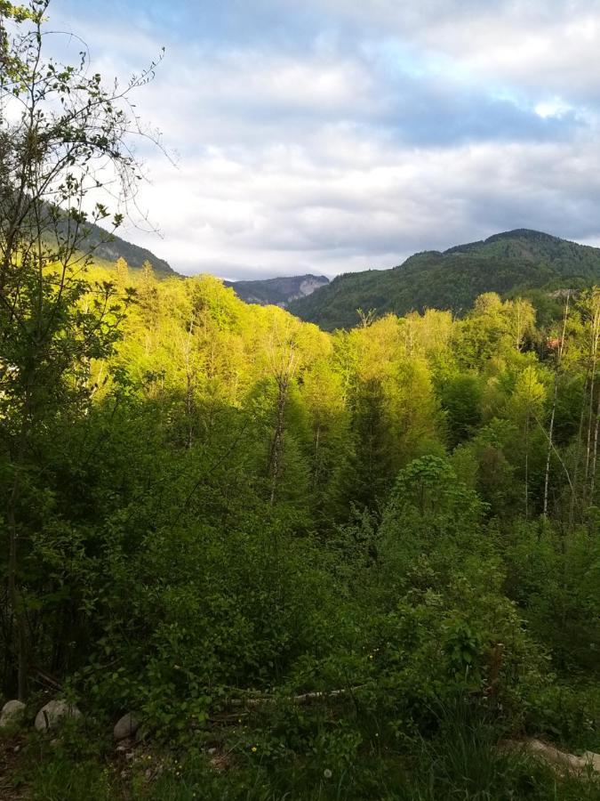 Chill&Sleep Bad Ischl Apartment ภายนอก รูปภาพ
