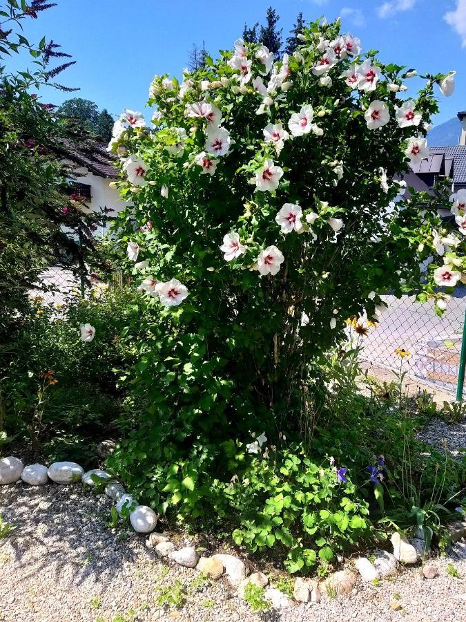 Chill&Sleep Bad Ischl Apartment ภายนอก รูปภาพ