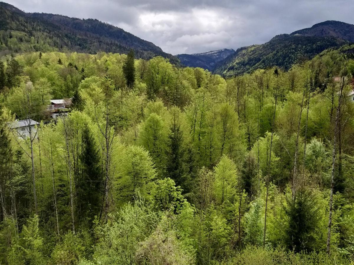 Chill&Sleep Bad Ischl Apartment ภายนอก รูปภาพ