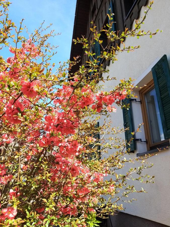 Chill&Sleep Bad Ischl Apartment ภายนอก รูปภาพ